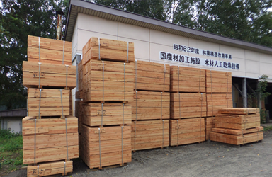 大樹工場